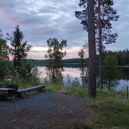 Sleepwell Villa Hartola By The Lake Kirkkola Ngoại thất bức ảnh