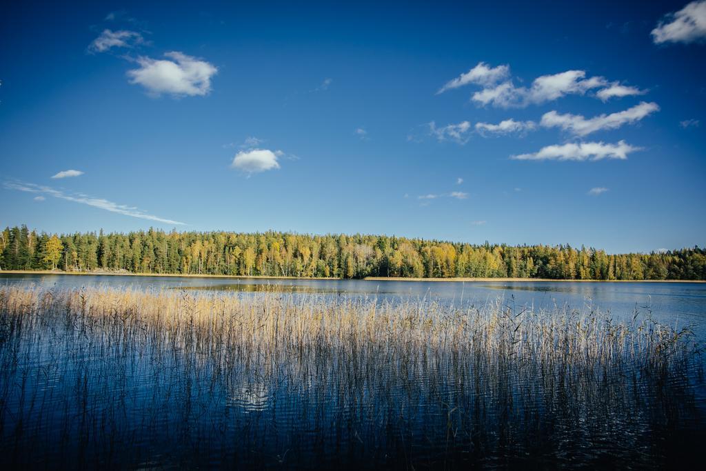 Sleepwell Villa Hartola By The Lake Kirkkola Ngoại thất bức ảnh